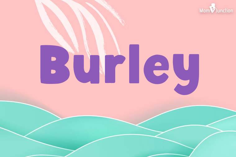Burley Stylish Wallpaper