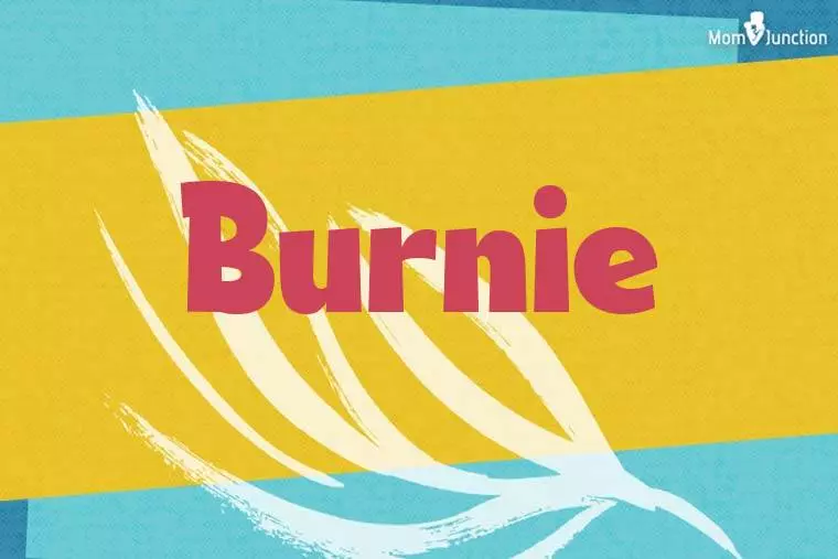 Burnie Stylish Wallpaper