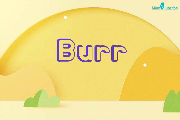 Burr 3D Wallpaper