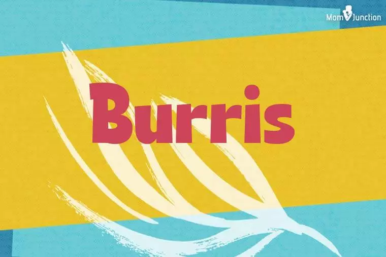 Burris Stylish Wallpaper