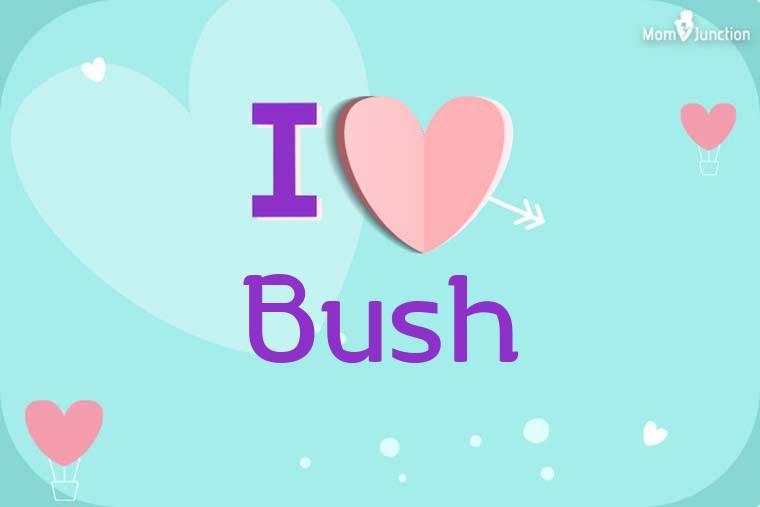 I Love Bush Wallpaper