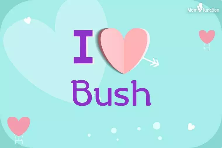 I Love Bush Wallpaper