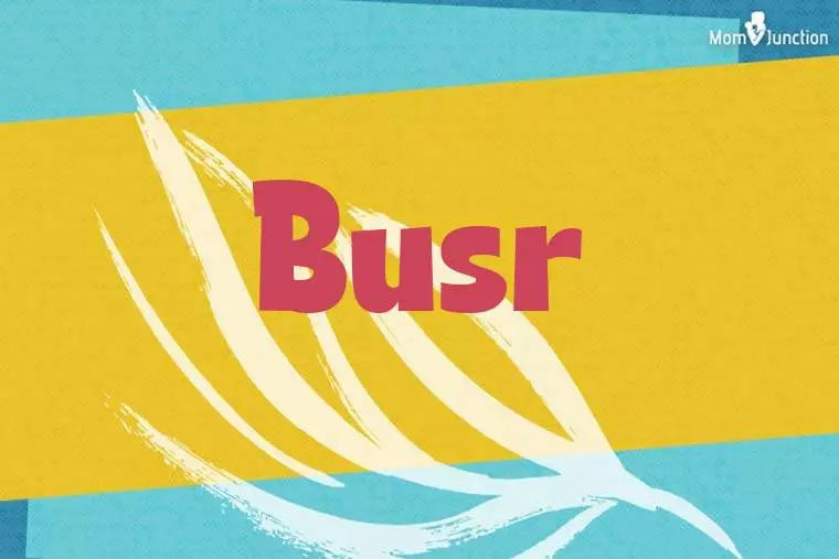 Busr Stylish Wallpaper