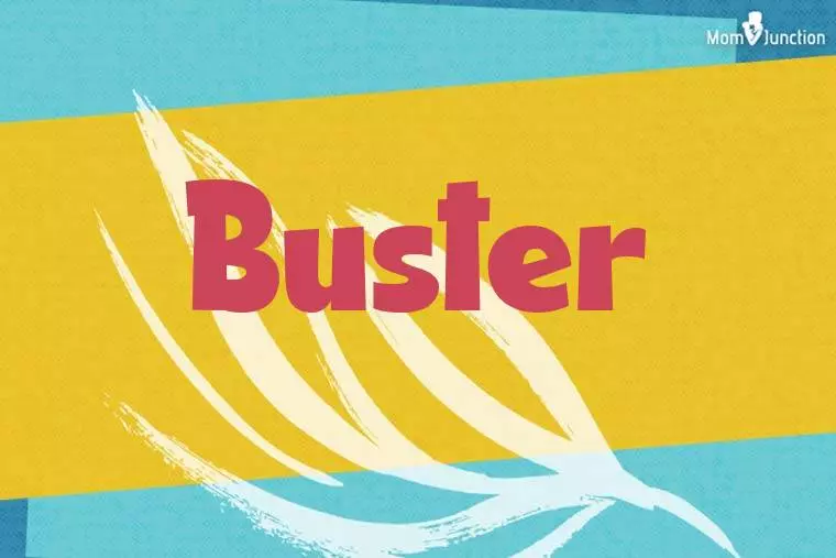 Buster Stylish Wallpaper