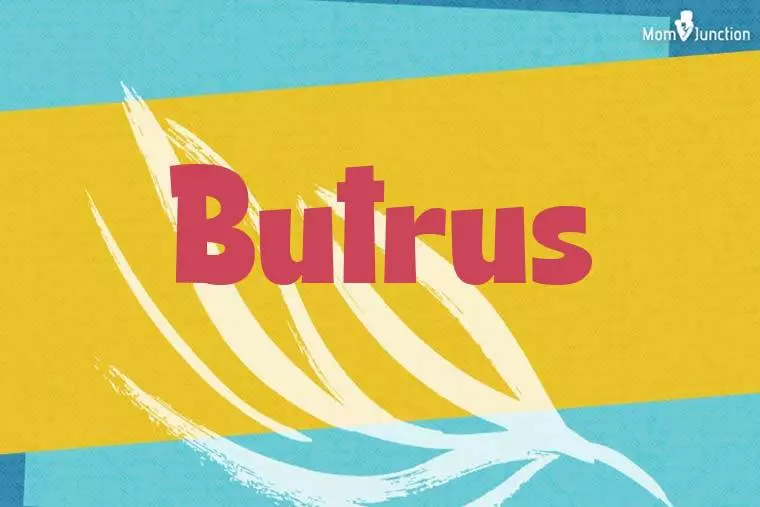 Butrus Stylish Wallpaper