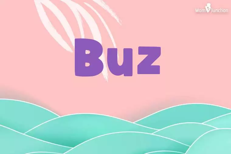 Buz Stylish Wallpaper