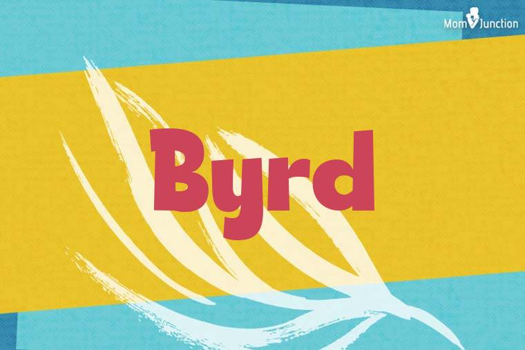 Byrd Stylish Wallpaper