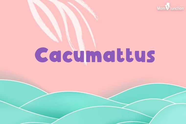Cacumattus Stylish Wallpaper