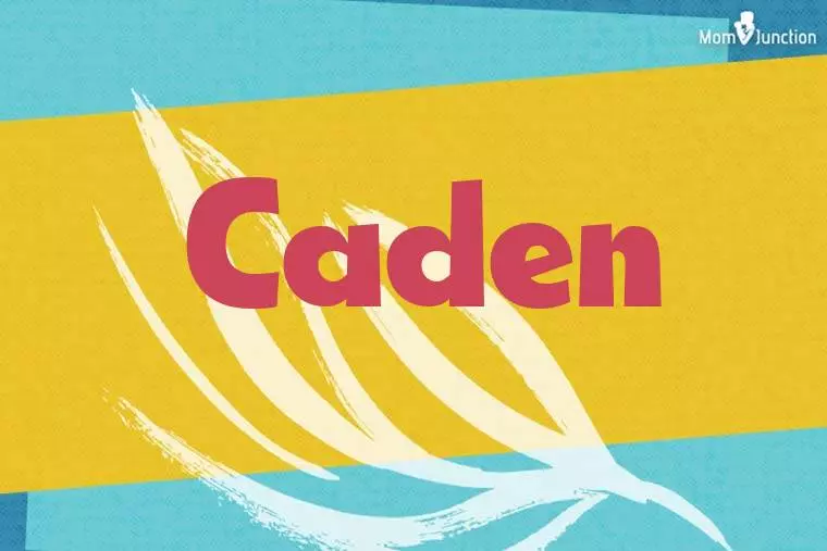 Caden Stylish Wallpaper