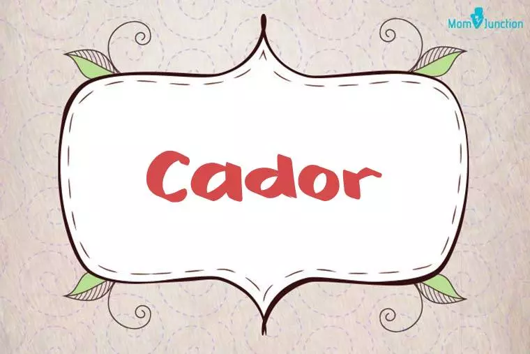 Cador Stylish Wallpaper