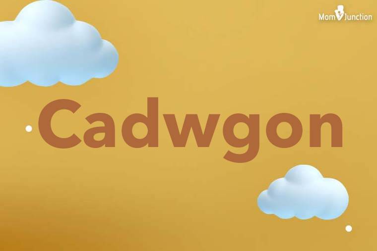 Cadwgon 3D Wallpaper