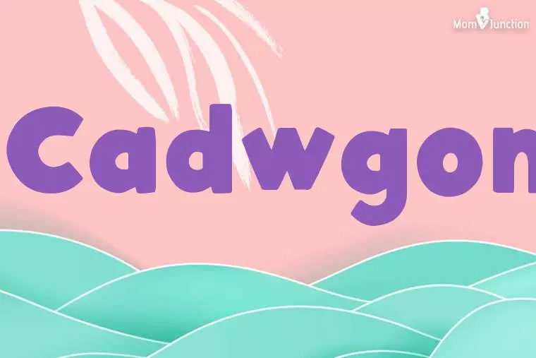 Cadwgon Stylish Wallpaper