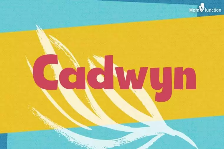 Cadwyn Stylish Wallpaper