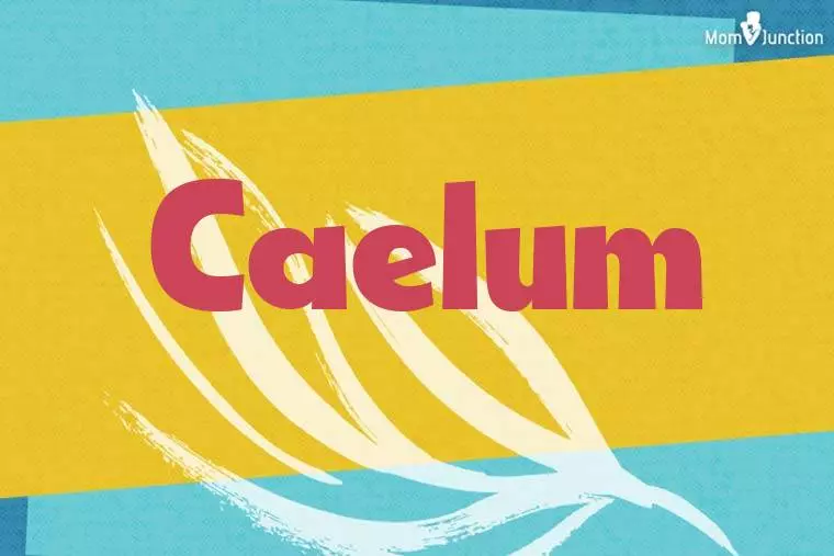 Caelum Stylish Wallpaper