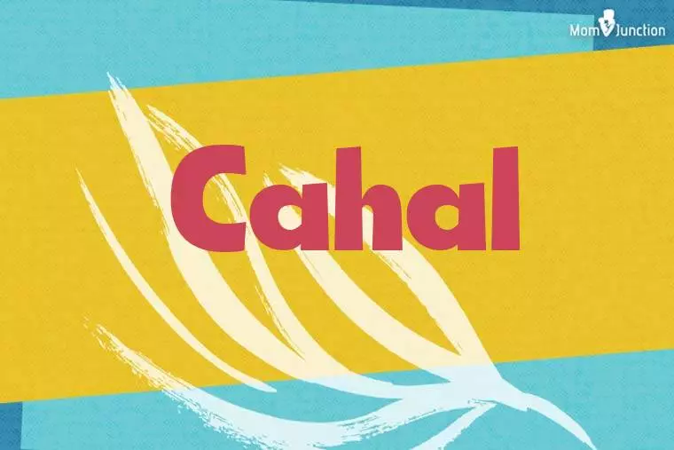 Cahal Stylish Wallpaper