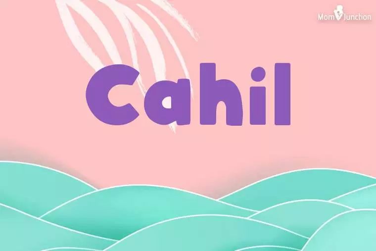 Cahil Stylish Wallpaper