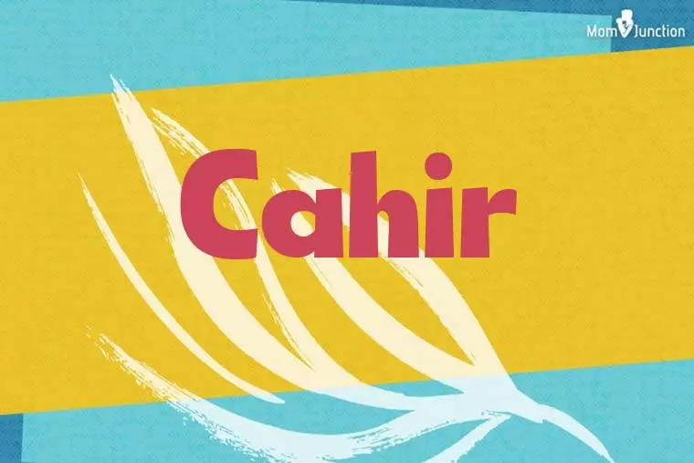 Cahir Stylish Wallpaper