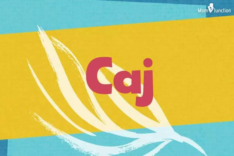 Caj Stylish Wallpaper