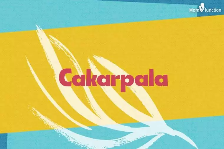 Cakarpala Stylish Wallpaper