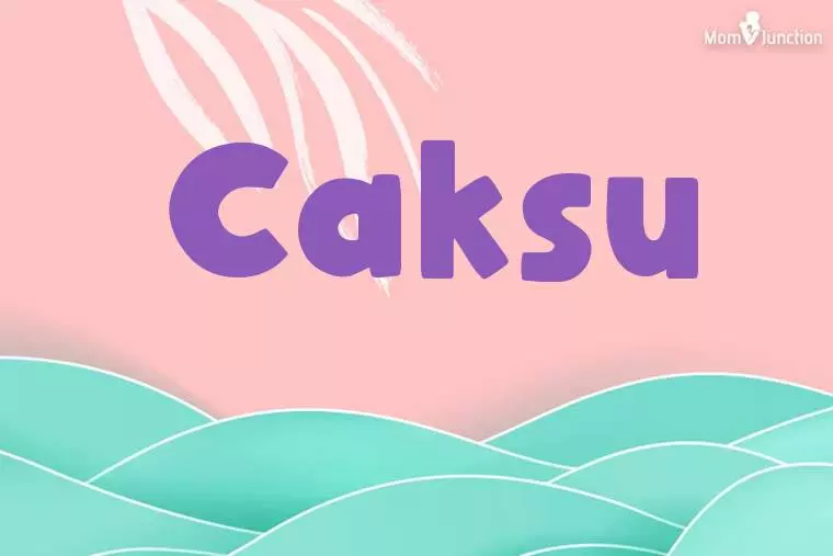 Caksu Stylish Wallpaper