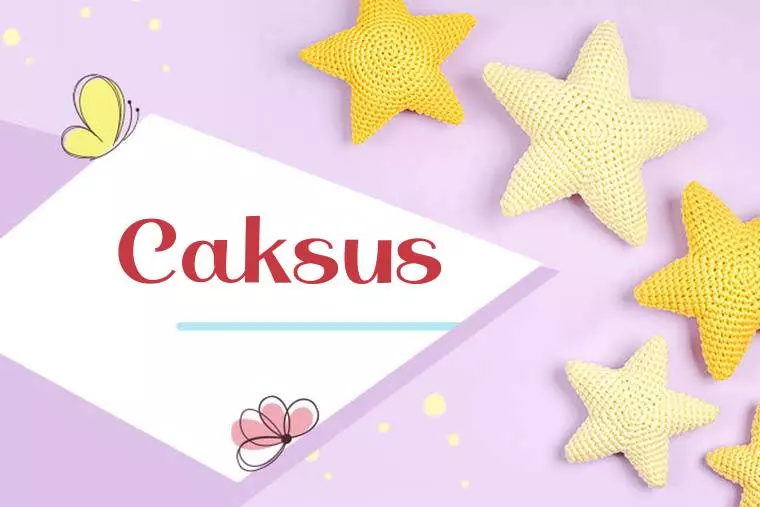 Caksus Stylish Wallpaper