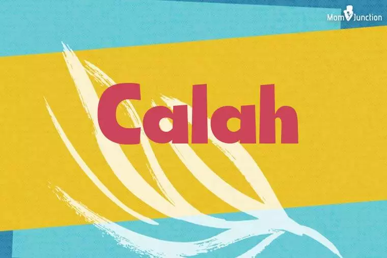 Calah Stylish Wallpaper