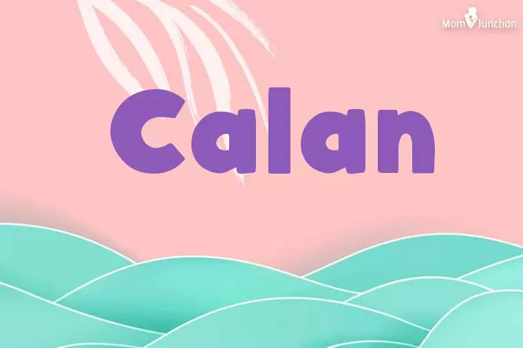 Calan Stylish Wallpaper