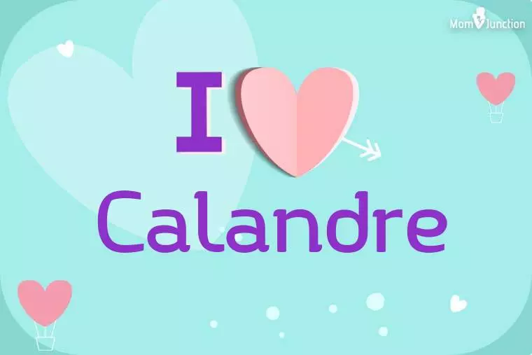 I Love Calandre Wallpaper