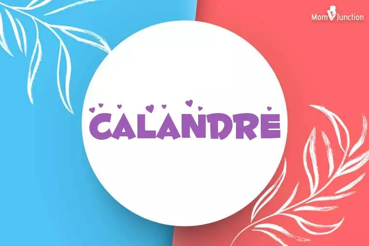 Calandre Stylish Wallpaper