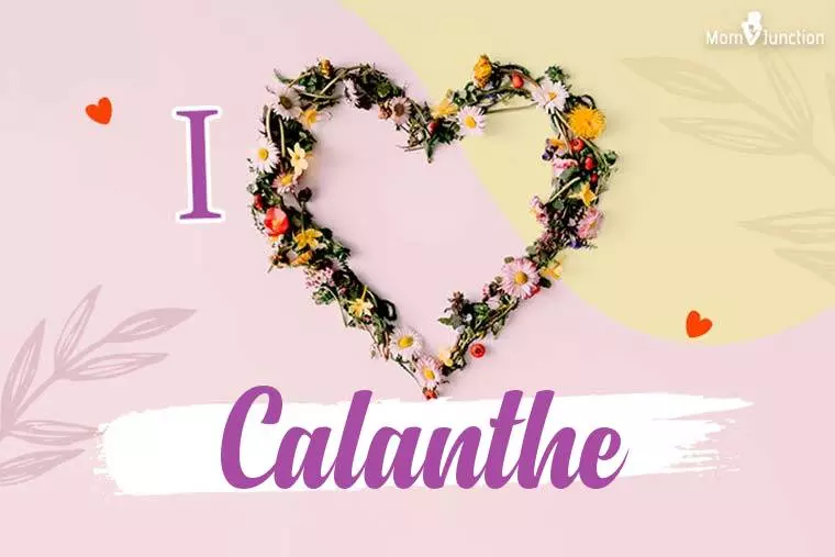 I Love Calanthe Wallpaper