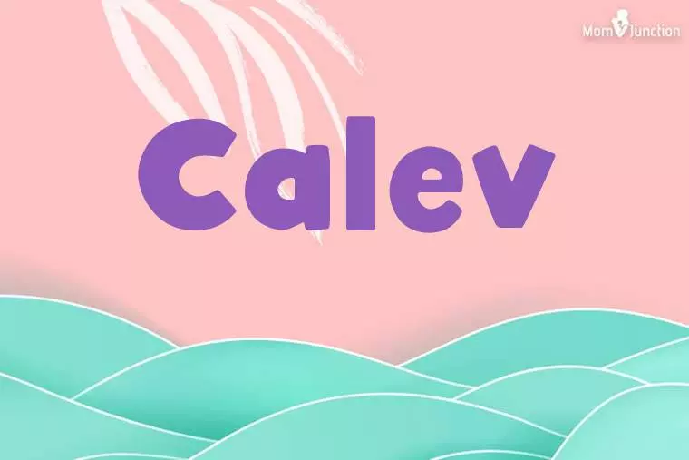 Calev Stylish Wallpaper