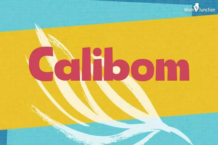 Calibom Stylish Wallpaper