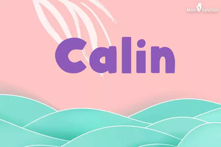 Calin Stylish Wallpaper