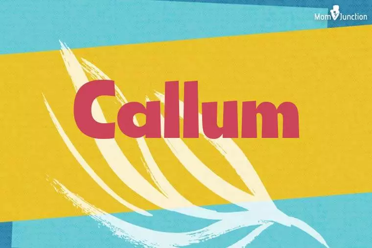 Callum Stylish Wallpaper