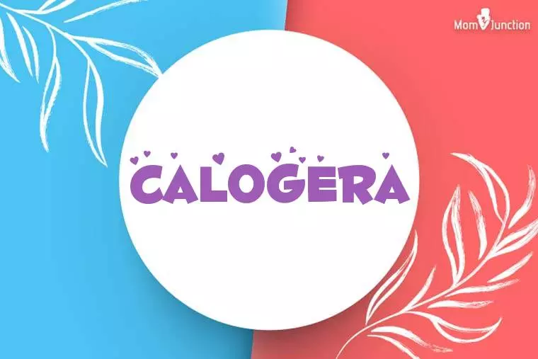 Calogera Stylish Wallpaper