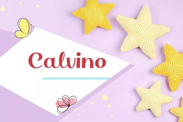 Calvino Stylish Wallpaper