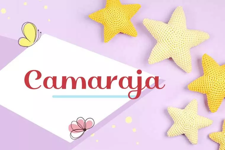 Camaraja Stylish Wallpaper