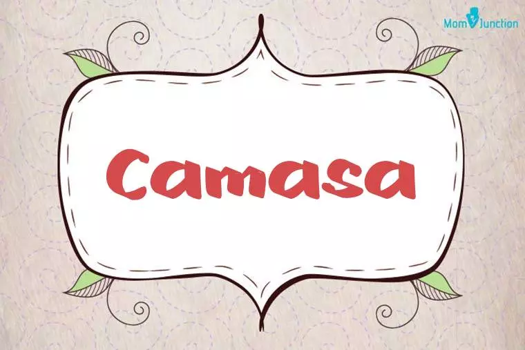 Camasa Stylish Wallpaper