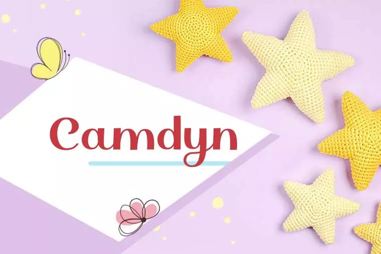 Camdyn Stylish Wallpaper