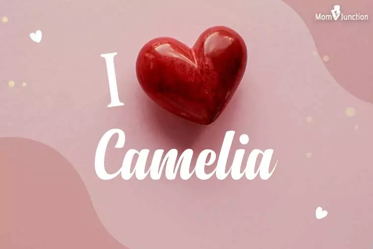 I Love Camelia Wallpaper