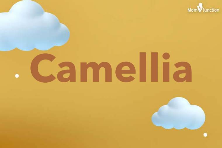 Camellia 3D Wallpaper