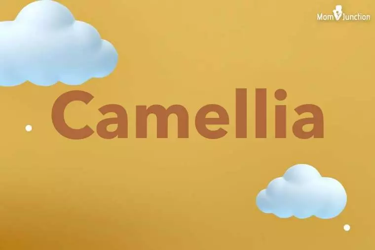 Camellia 3D Wallpaper