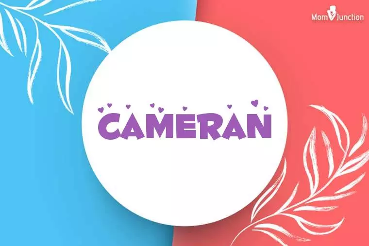 Cameran Stylish Wallpaper