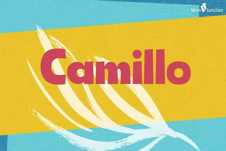 Camillo Stylish Wallpaper