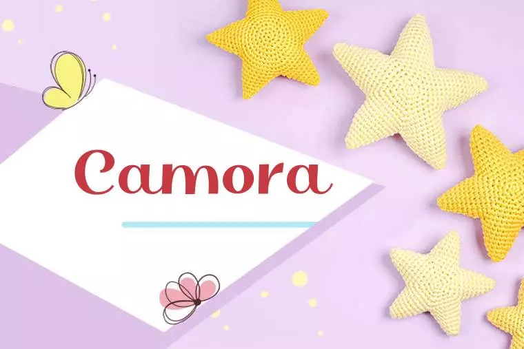 Camora Stylish Wallpaper