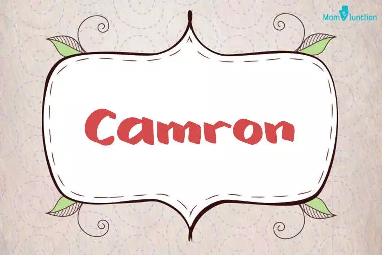 Camron Stylish Wallpaper