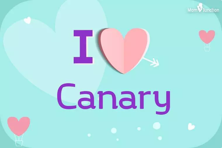 I Love Canary Wallpaper