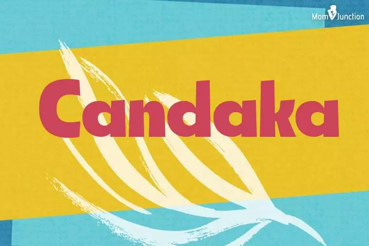 Candaka Stylish Wallpaper