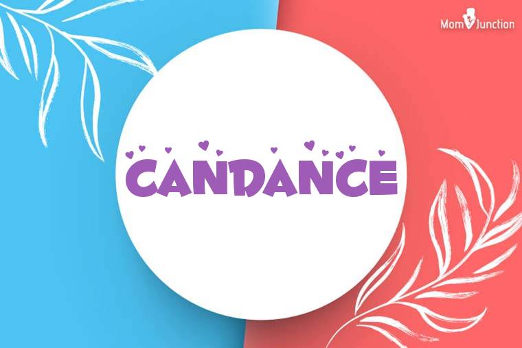 Candance Stylish Wallpaper