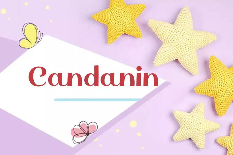 Candanin Stylish Wallpaper